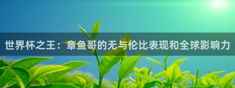 世界杯2026比赛时间表:世界杯之王:章鱼哥的无与伦比表现和全球影响力