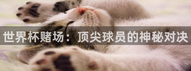 2026世界杯预选赛:世界杯赌场:顶尖球员的神秘对决