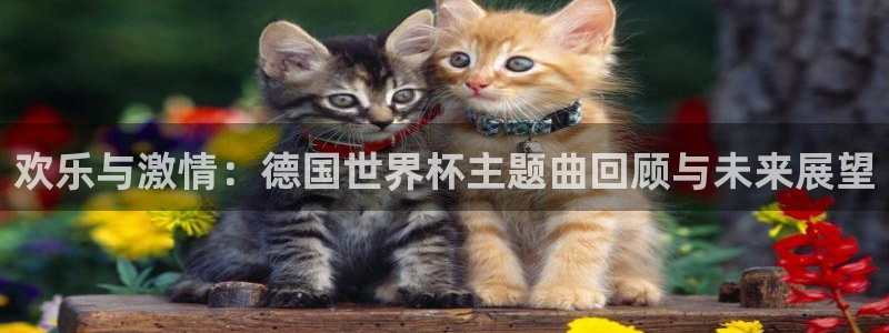 世预赛直播:欢乐与激情:德国世界杯主题曲回顾与未来展望