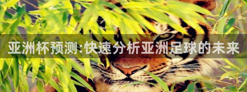 世界杯48支球队赛制:亚洲杯预测:快速分析亚洲足球的未来