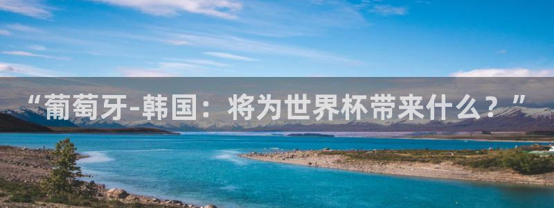 2026世界杯:“葡萄牙-韩国:将为世界杯带来什么?”
